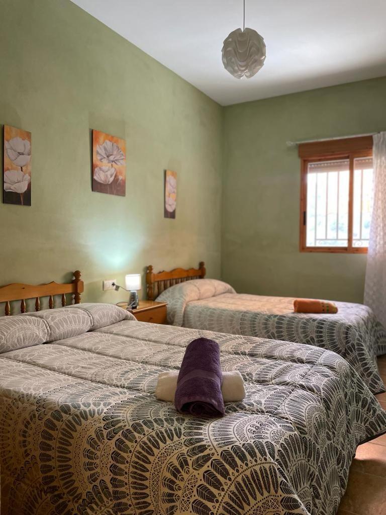 Casa Rural Puente Del Segura Elche de la Sierra Buitenkant foto
