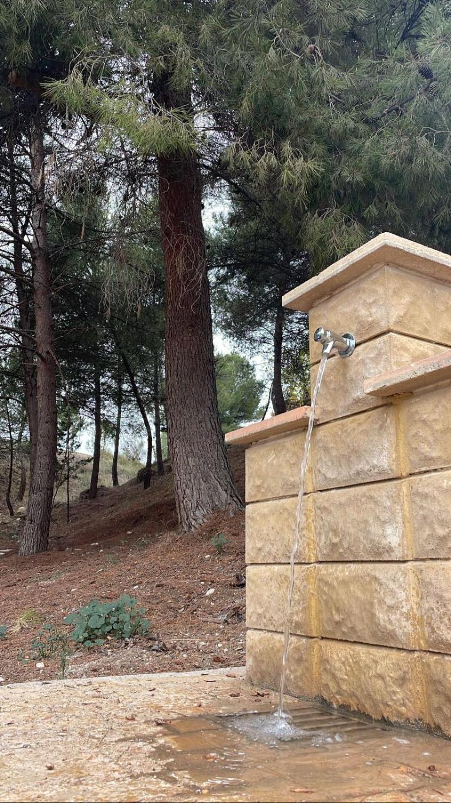 Casa Rural Puente Del Segura Elche de la Sierra Buitenkant foto