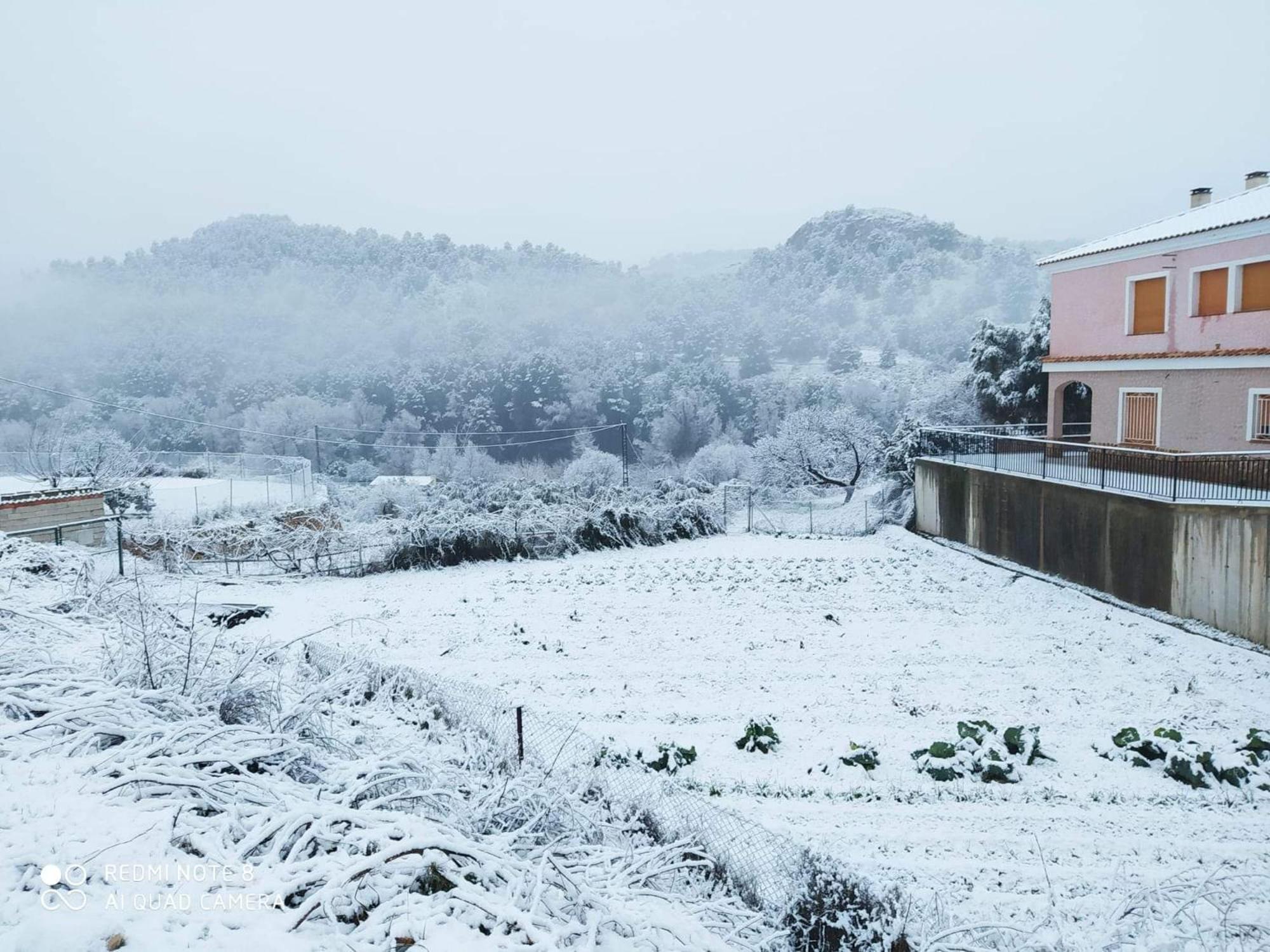 Casa Rural Puente Del Segura Elche de la Sierra Buitenkant foto