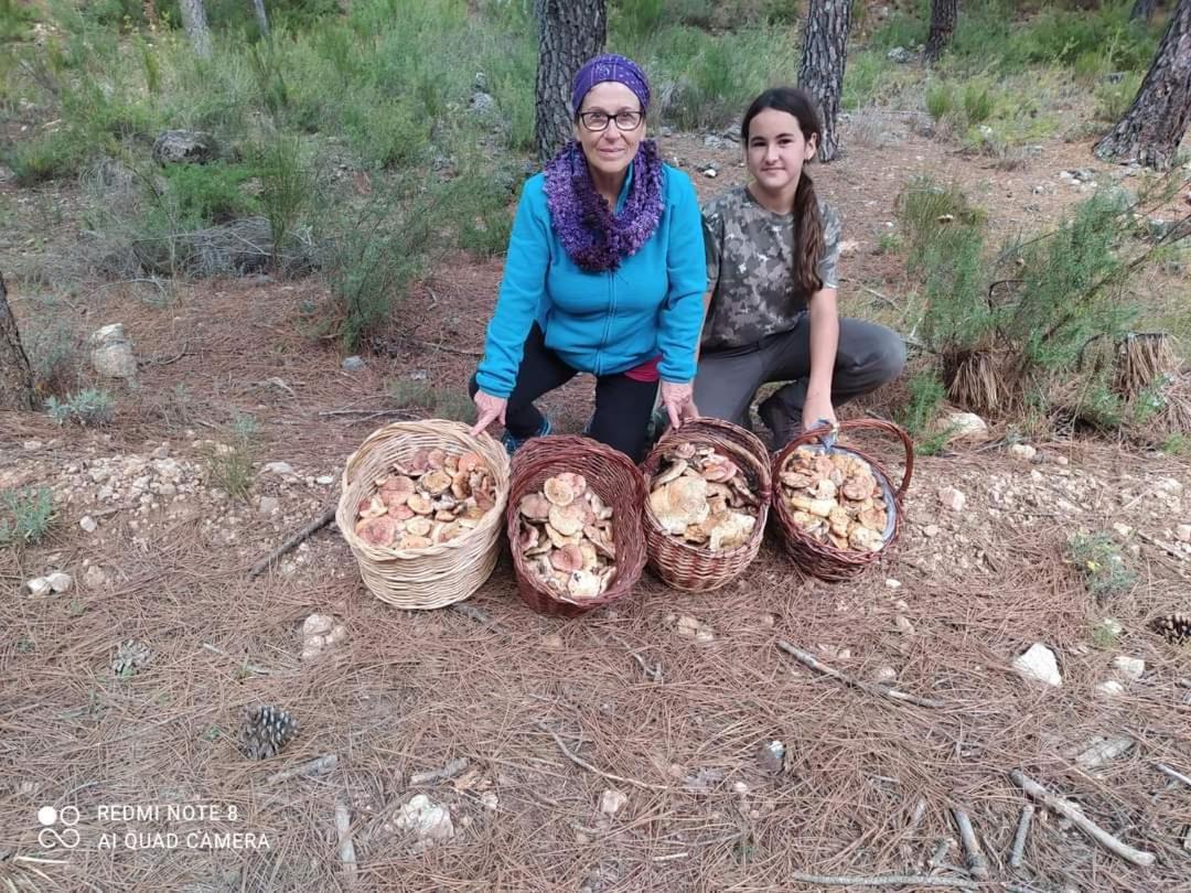 Casa Rural Puente Del Segura Elche de la Sierra Buitenkant foto
